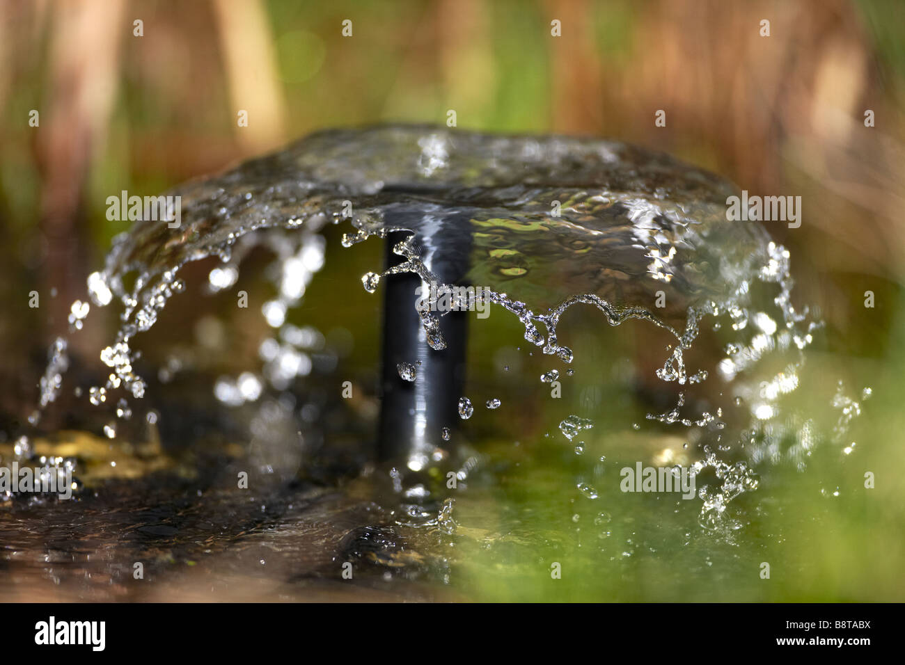 Wasser-Brunnen in einem Garten-Teich, Wales, UK Stockfoto