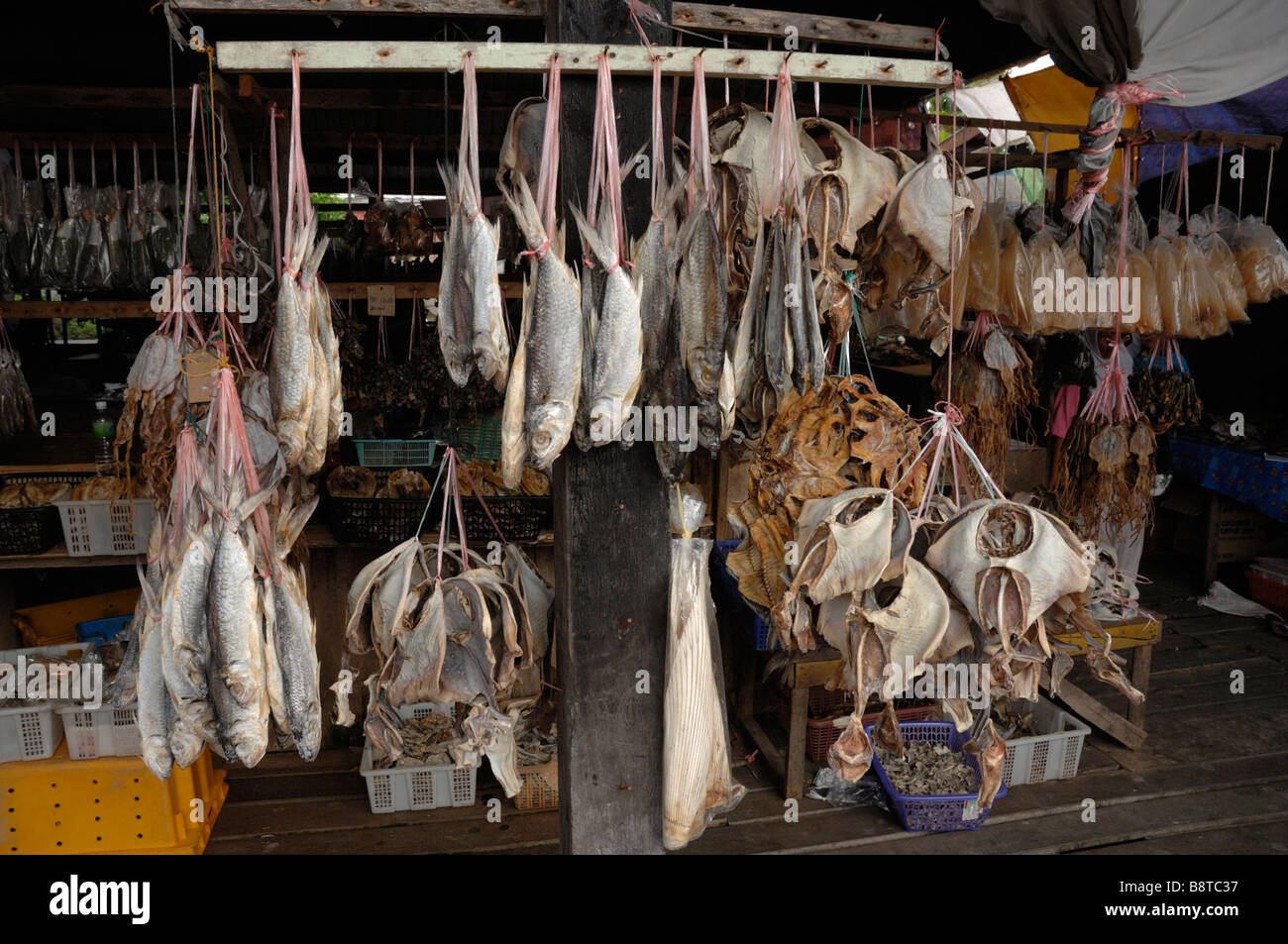 Getrockneter Fisch stall getrockneter Fischmarkt Semporna Sabah Malaysia Borneo Süd-Ost-Asien Stockfoto