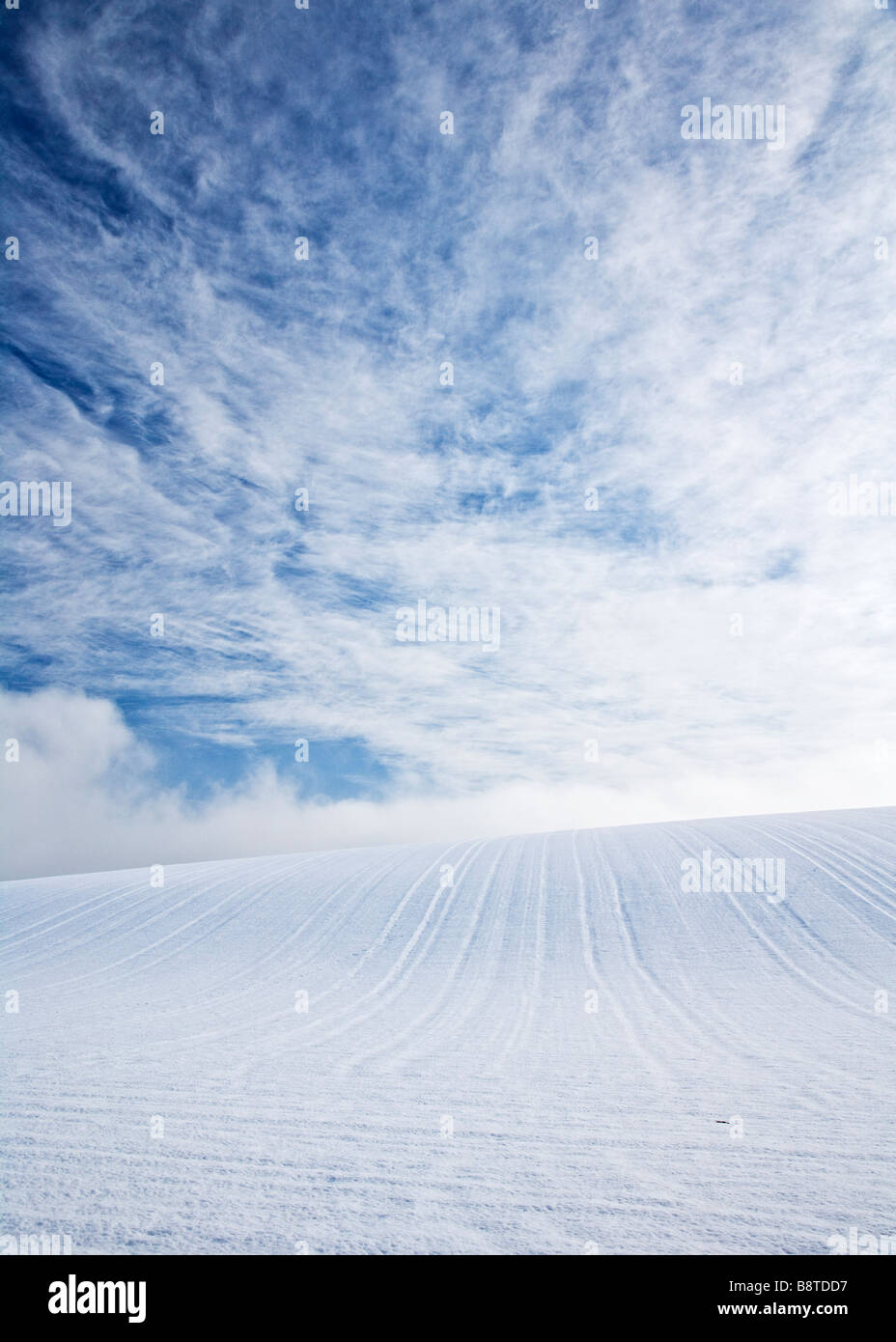 Einen sonnigen verschneiten Winter abstrakten minimalistischen Landschaftsansicht oder eine Filmszene auf den Downs in Wiltshire England UK Stockfoto