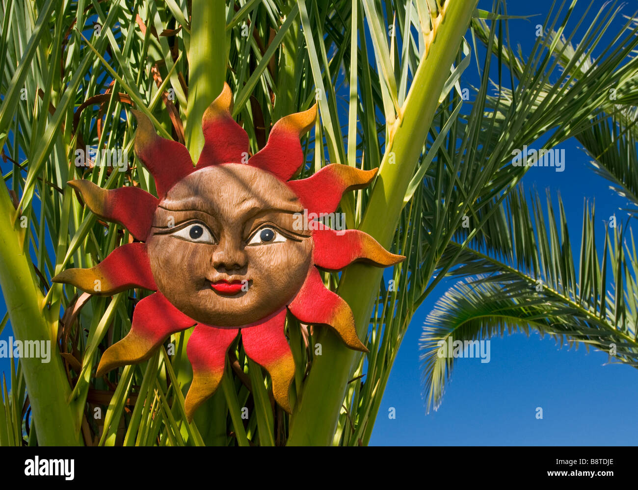 Rustikale geschnitzten hölzernen Sonne Gesicht Plaque als eine Garteneigenschaft in einer mediterranen Villa sonnigen Urlaub Situation an einer Palme hängen Stockfoto