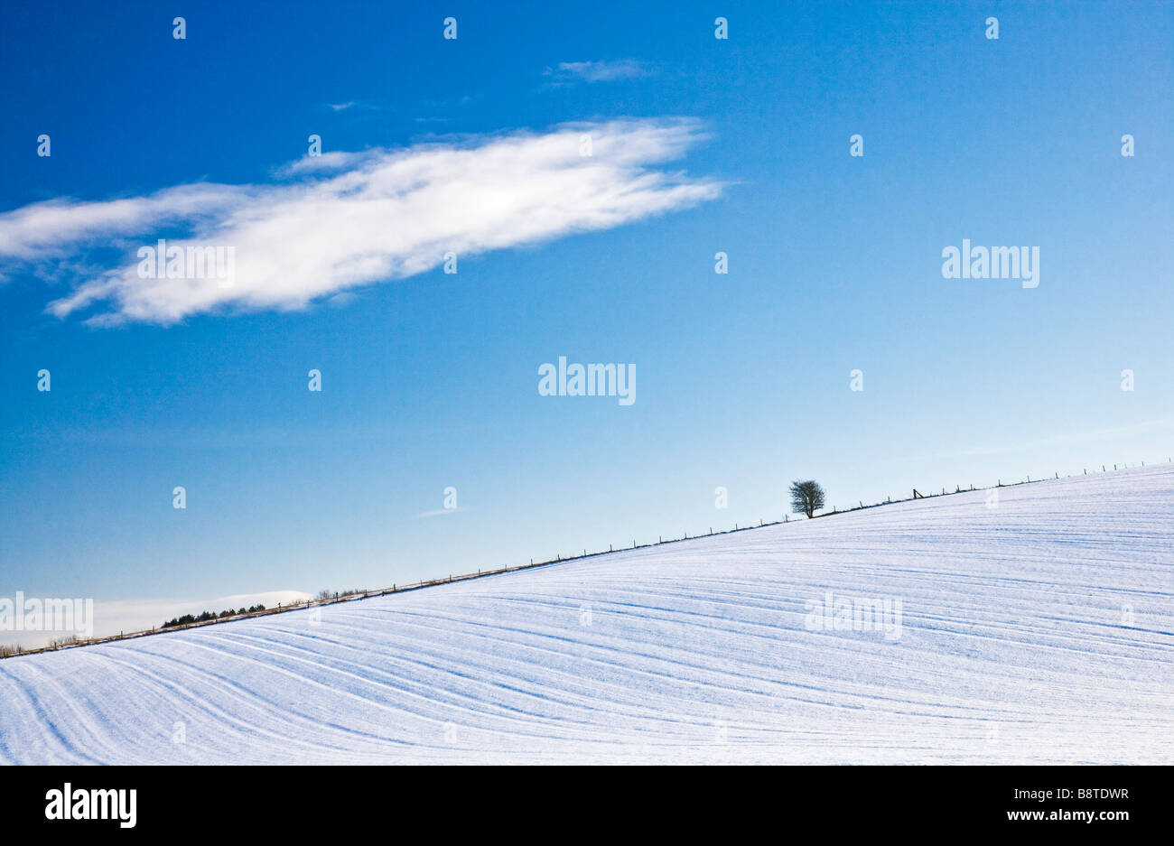 Einen sonnigen verschneiten Winter abstrakten minimalistischen Landschaftsansicht oder eine Filmszene auf den Downs in Wiltshire England UK Stockfoto