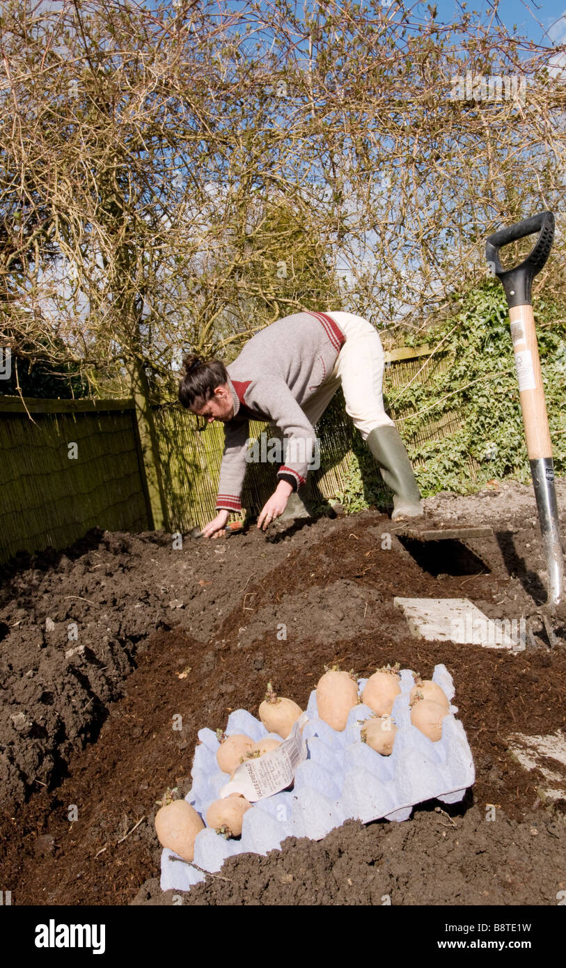 Frau pflanzt Kartoffeln in ihrem Garten Stockfoto