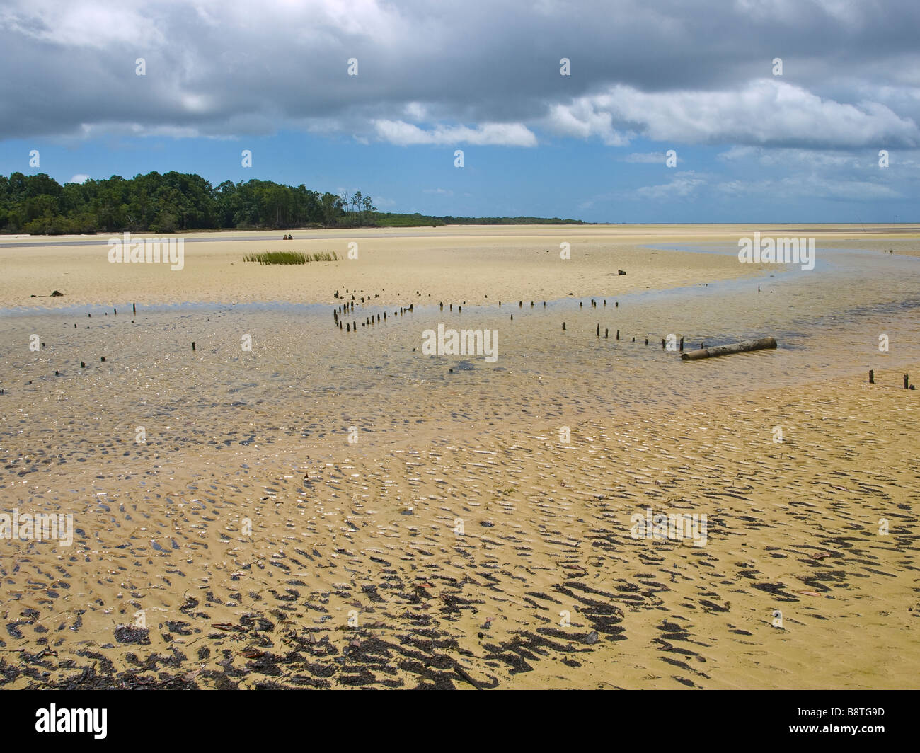 Ilha Marajó fluviale Insel im Amazonas, Para Zustand, Nordbrasilien. Stockfoto