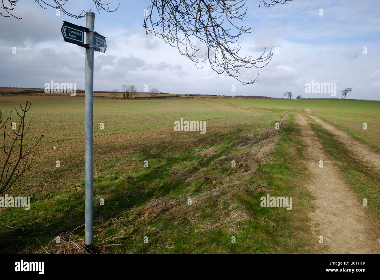 Eine eingeschränkte Byway, Lincolnshire, England. Stockfoto