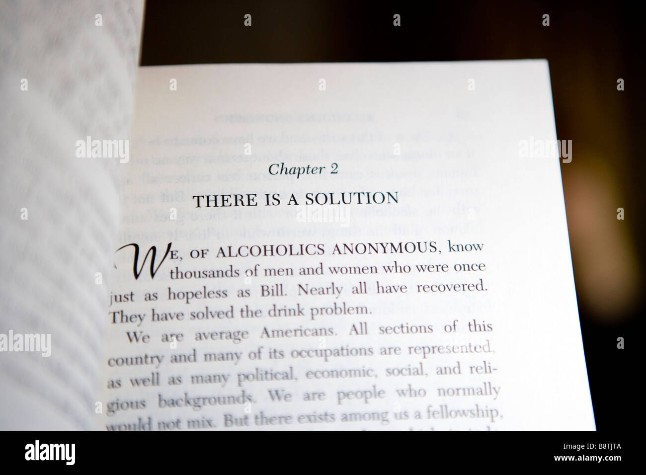 Es gibt eine Lösung, Kapitel im großen Buch, Anonyme Alkoholiker-Literatur Stockfoto