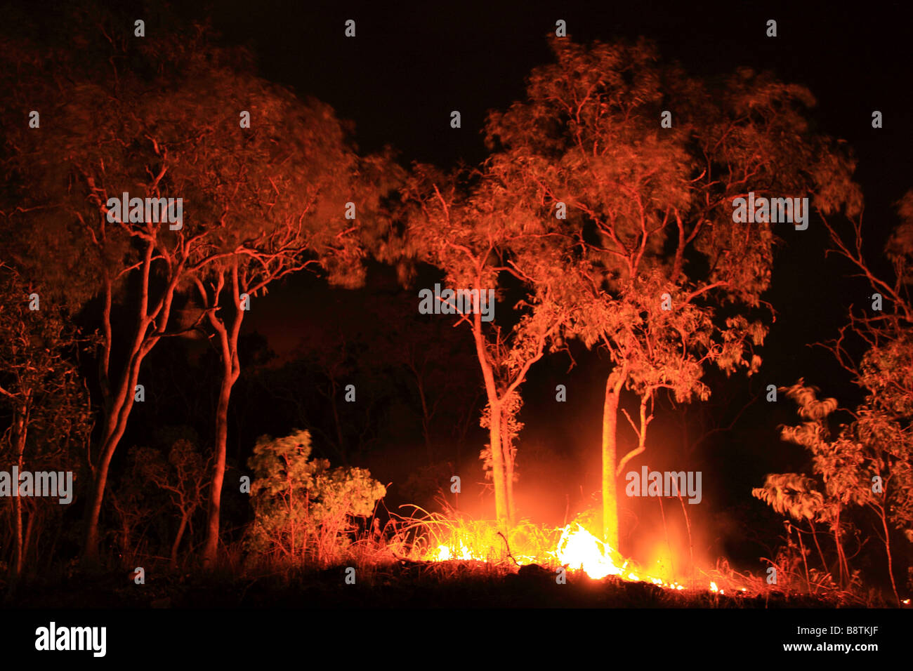 Eine kontrollierte Verbrennung der Vegetation nördlich von Cairns, Queensland Stockfoto