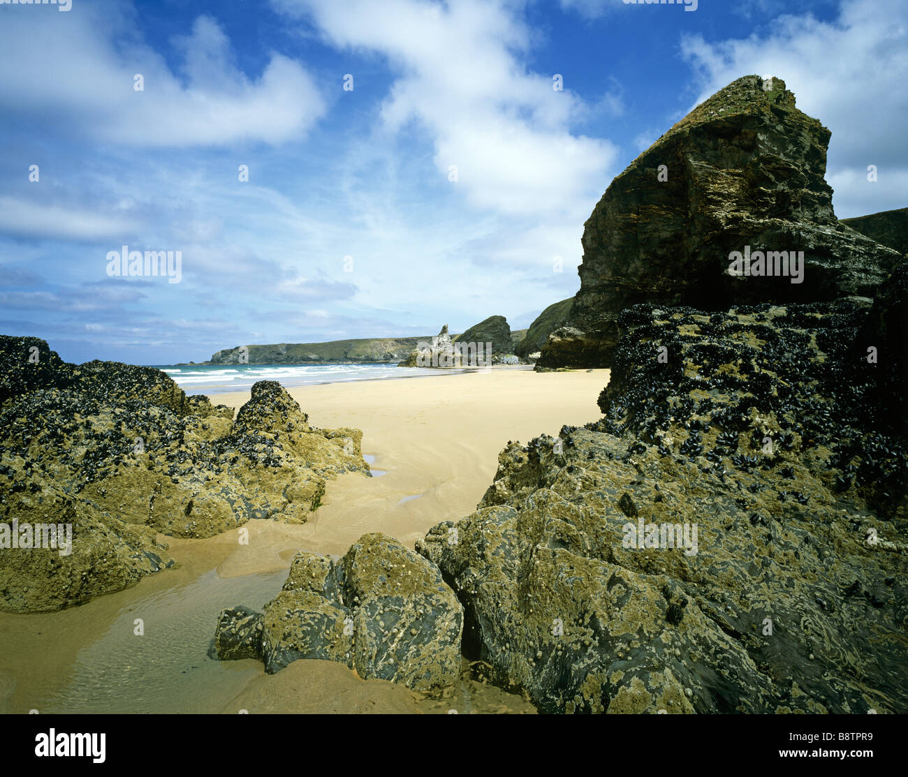 Ein Sweep von Strand Bedruthan Steps zeigen die Rock-Stacks, die Heimat für Hunderte von Muscheln am Strand ist nicht N T Stockfoto