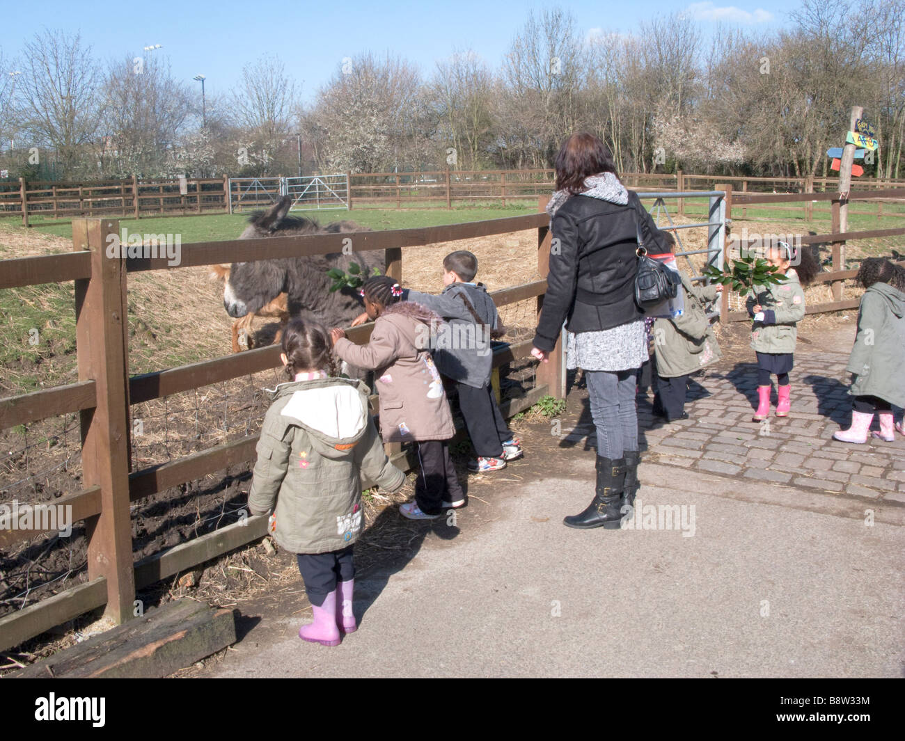 VEREINIGTES KÖNIGREICH. Kinder gemischter ethnischer Herkunft besuchen die Hackney City Farm mit ihren Schulen in Ost-London Stockfoto