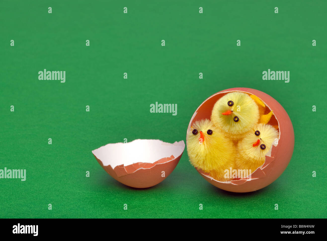 Drei gelbe Spielzeug Ostern Küken schlüpfen aus eine Eierschale auf grünem Hintergrund Stockfoto