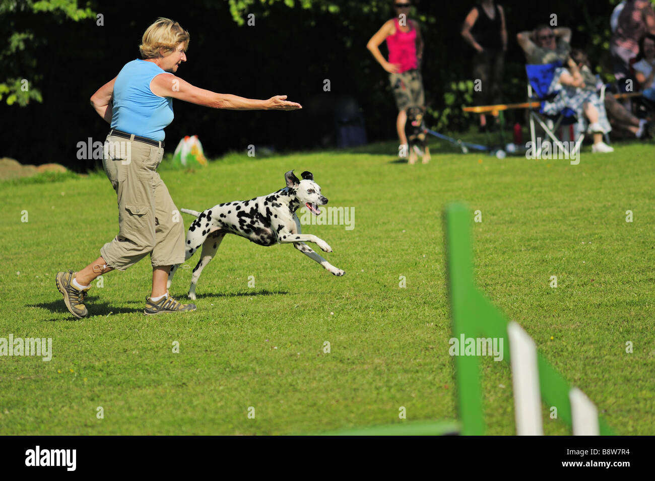 Agility Studien Stockfoto