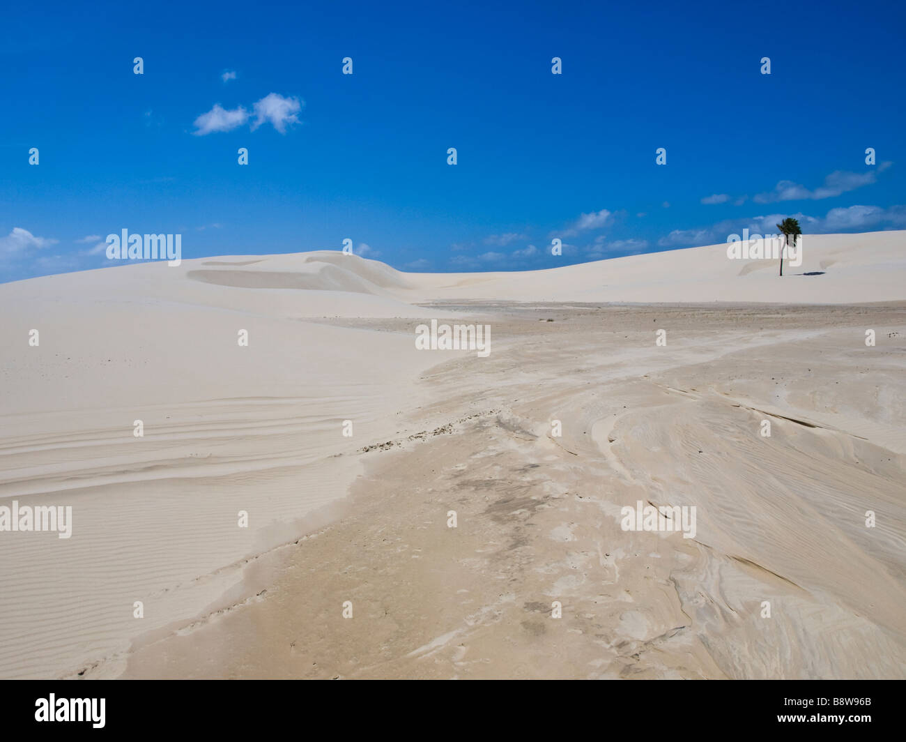 Eine Sanddüne im westlichen Teil der nationalen Marke Lençois Maranhenses, Bundesstaat Maranhão, Nordosten von Brasilien. Stockfoto