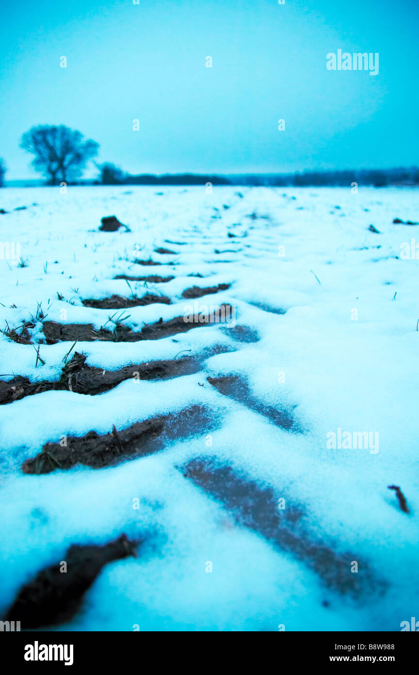 Spuren im Schnee von einem Bauern-Feld Stockfoto