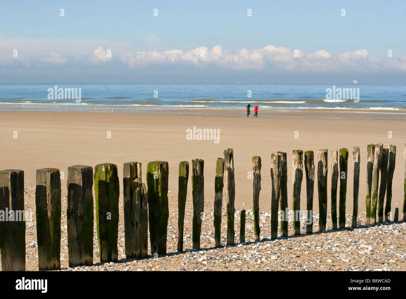 Strand in der Region Pas-de-Calais, Frankreich Stockfoto