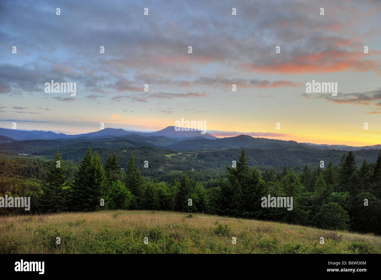 Sonnenuntergang über Marys Peak im Oregon Coast Range Stockfoto
