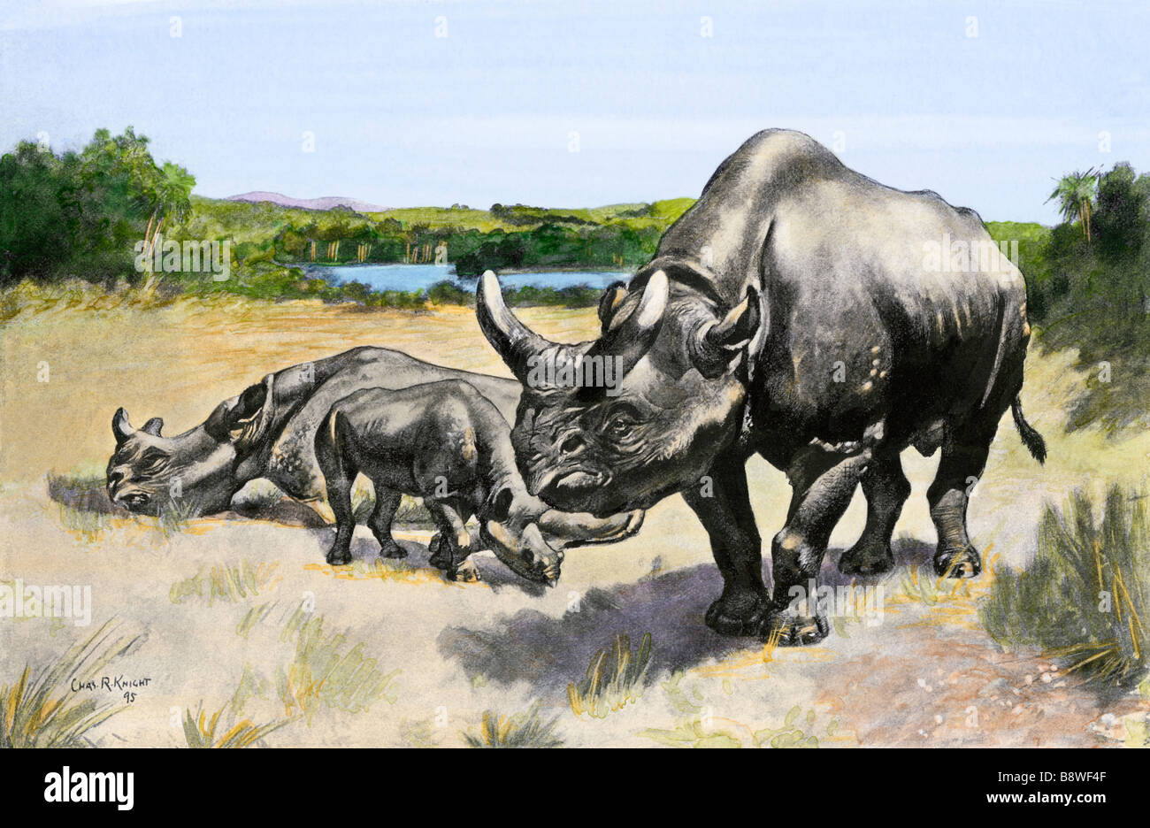 Ausgestorbene Arten von rhinocerus Titanothere, alte South Dakota. Hand - farbige Raster eines Charles Knight Abbildung Stockfoto