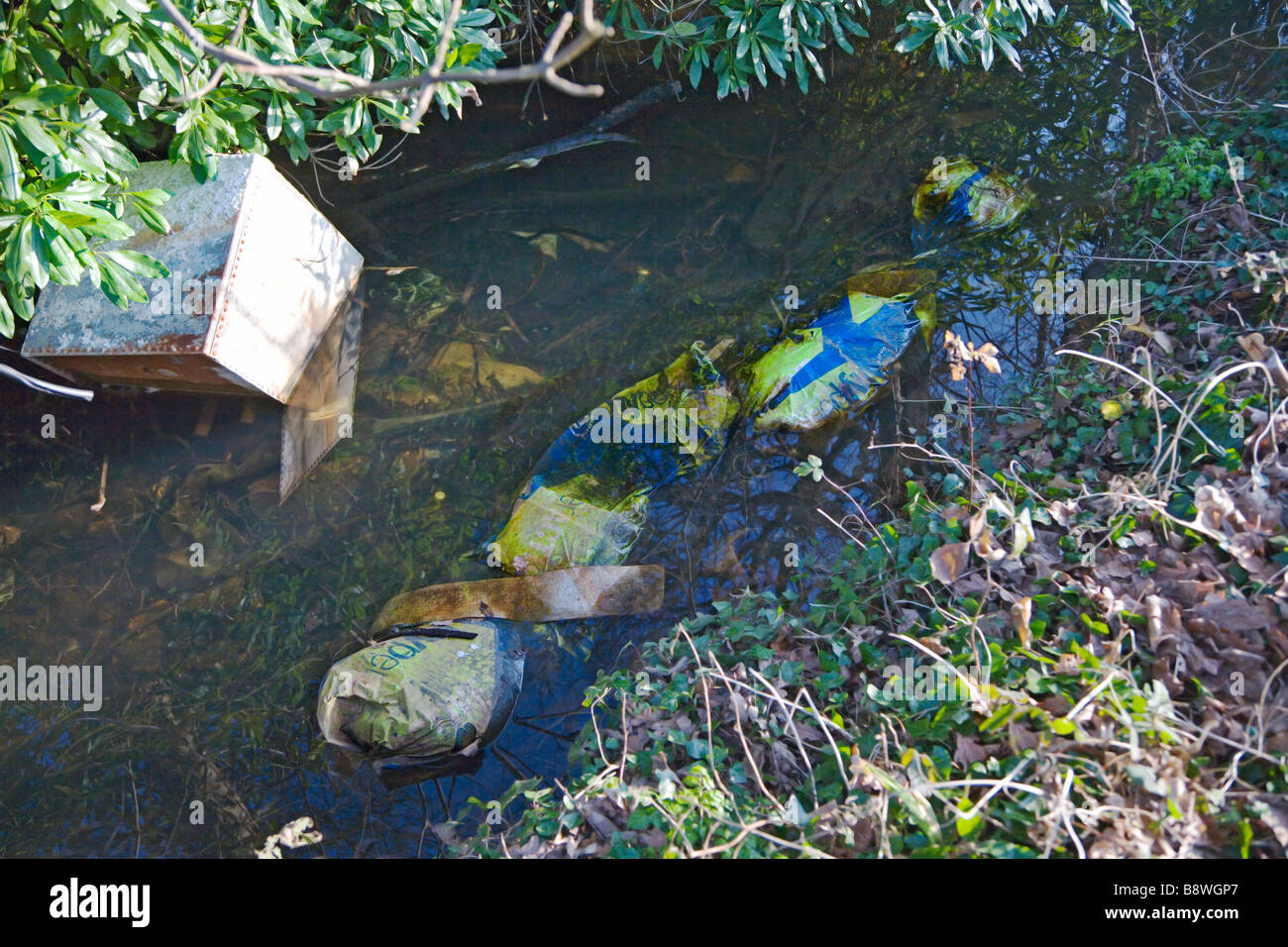 Müll geworfen in einen Stream. Grenzen der Dorset und Hampshire. VEREINIGTES KÖNIGREICH. Stockfoto