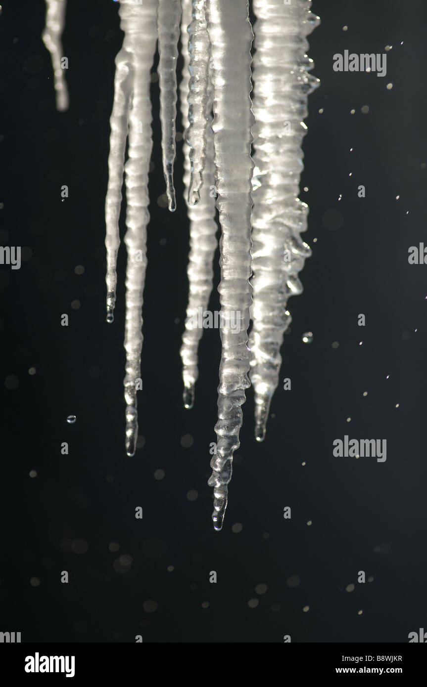 tropfende Eiszapfen Stockfoto