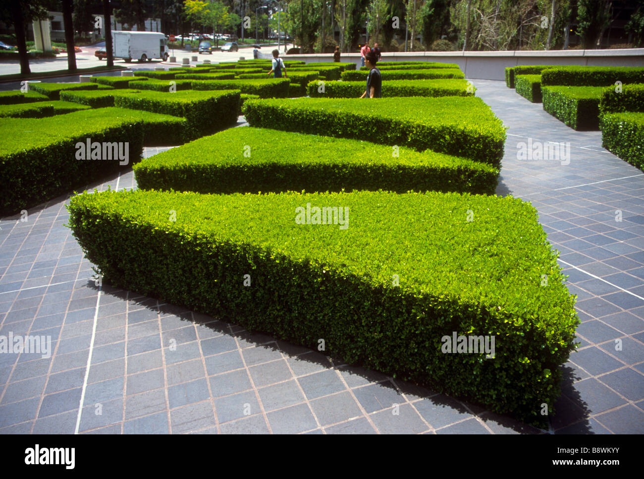 Dreieck Pflanze Hecke Landschaft Garten Geometrie Mathematik Form wiederholen Musterwiederholungen wachsen grüne schmücken trim präzise Stockfoto