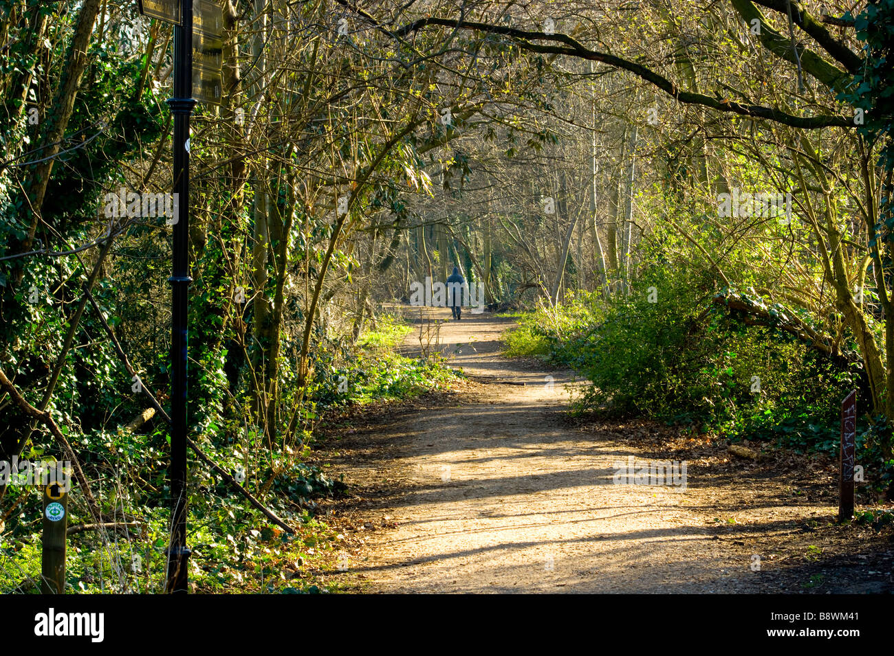 Blick auf die Parklandschaft Walk - stillgelegten Eisenbahnstrecke im Norden säumen nun einen Naturlehrpfad beliebt bei Wanderern und Joggern gleichermaßen. Stockfoto