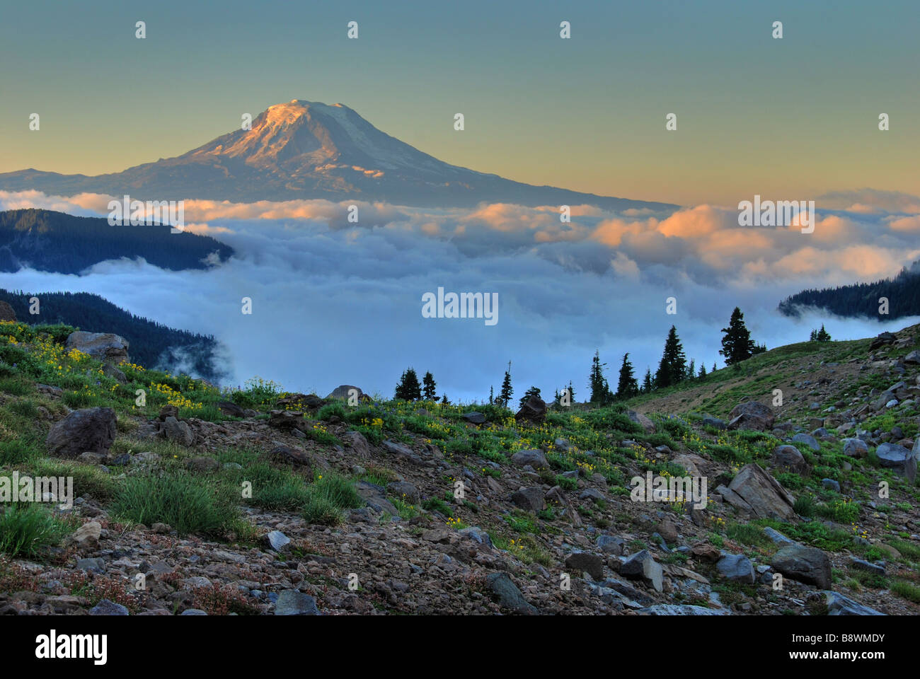 Wolken versteckt um Mt Adams bei Sonnenaufgang von der Goat Rocks Wilderness Stockfoto