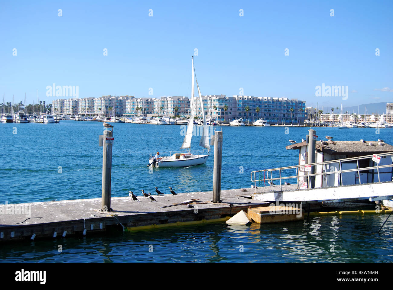 Blick auf die Marina, Marina del Rey, Los Angeles, California, Vereinigte Staaten von Amerika Stockfoto