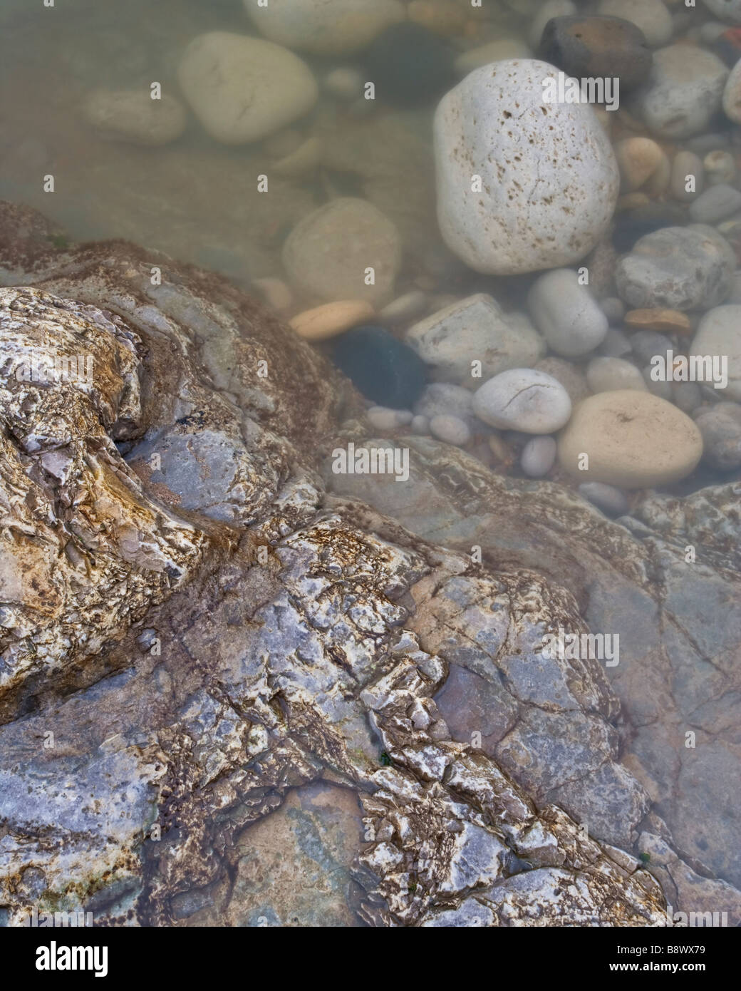 Rockpool auf einem Kalkstein-Regal gefunden am Ufer des 'The Wherry' eine Bucht an der South Tyneside-Küste in der Nähe von South Shields Stockfoto
