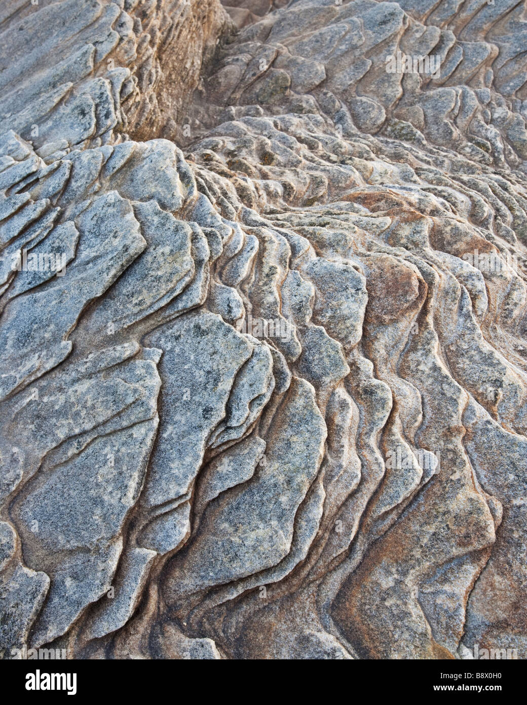 Bettwäsche Flugzeuge aus Sandstein an der Küste in der Nähe von Northumbrian Dörfer Craster und Howick Stockfoto