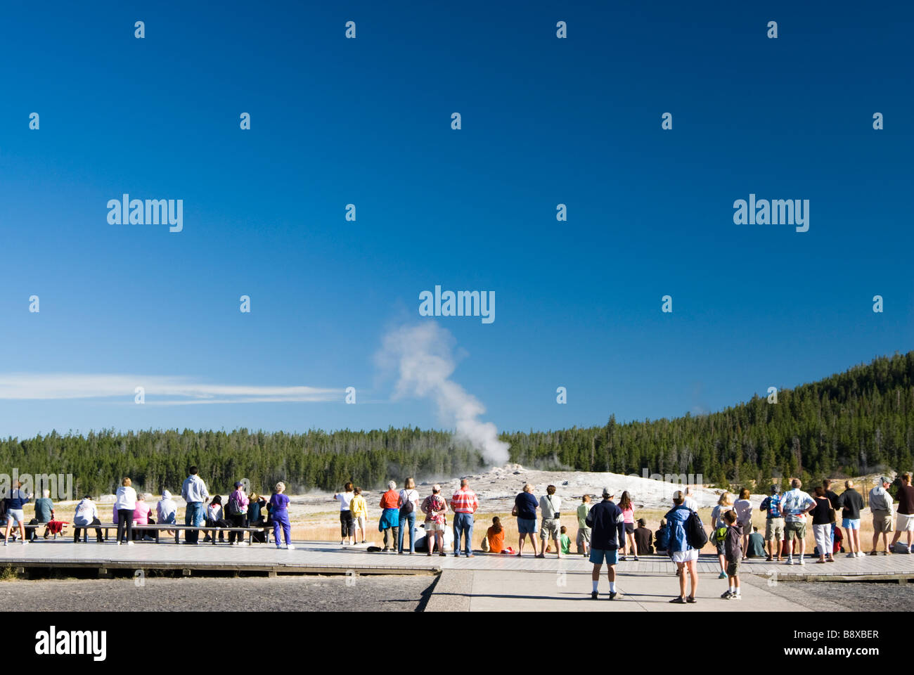 Touristen, die beobachten, wie Old Faithful Geysir bricht im Yellowstone National Park Stockfoto