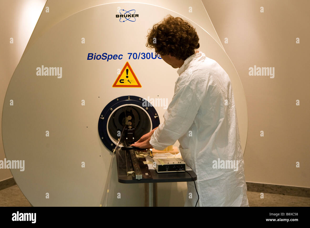 Magnet-Resonanz für Anilamls, Istituto di Ricerche Farmacologiche Mario Negri, Mailand, Italien Stockfoto