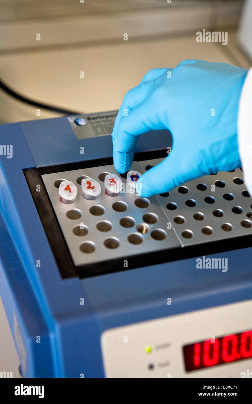 Thermostat, Studium der Molekularbiologie, Istituto di Ricerche Farmacologiche Mario Negri, Mailand, Italien Stockfoto