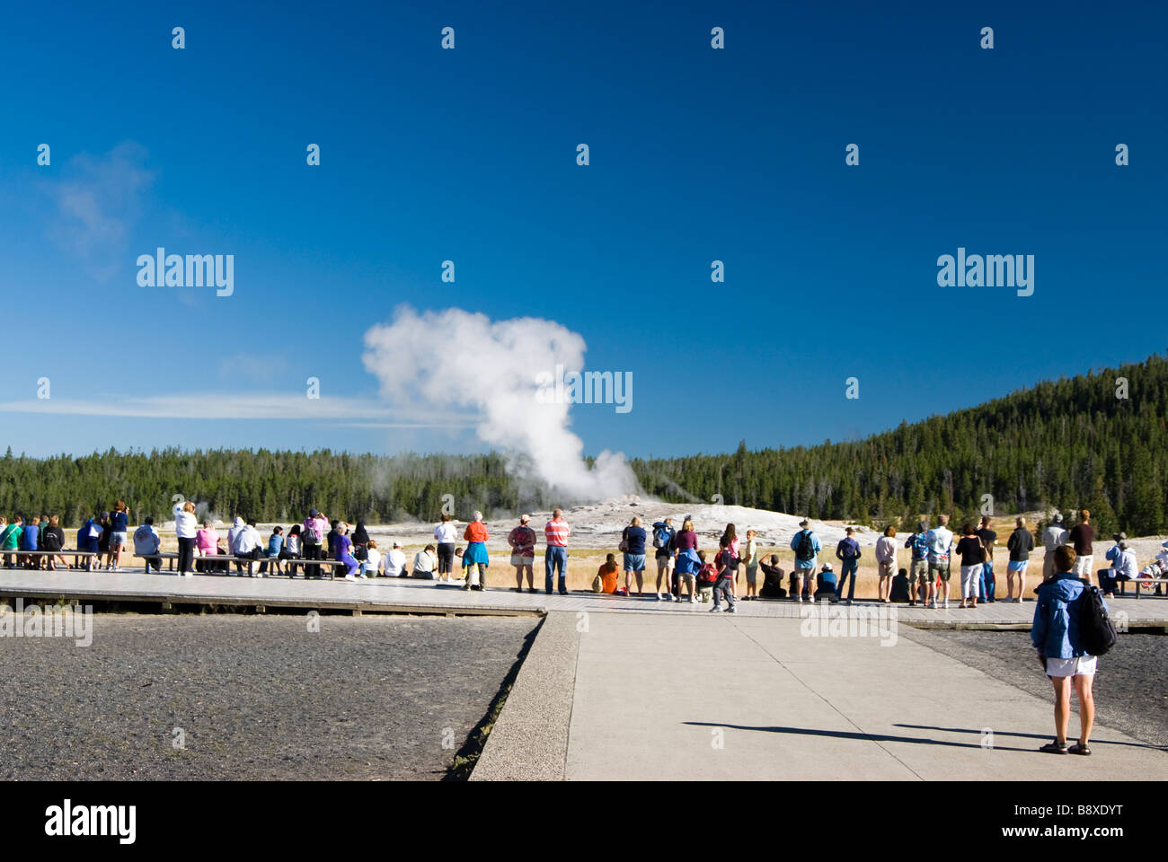 Touristen warten auf Old Faithful Geysir im Yellowstone-Nationalpark ausbrechen Stockfoto