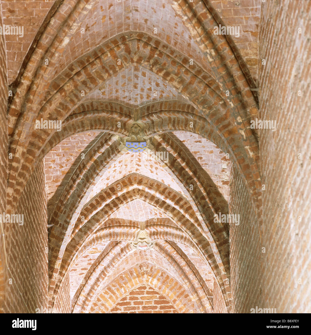 Blick auf eine gewölbte Decke innerhalb Tattershall Castle zeigt das Deincourt Wappen in der Mitte Stockfoto