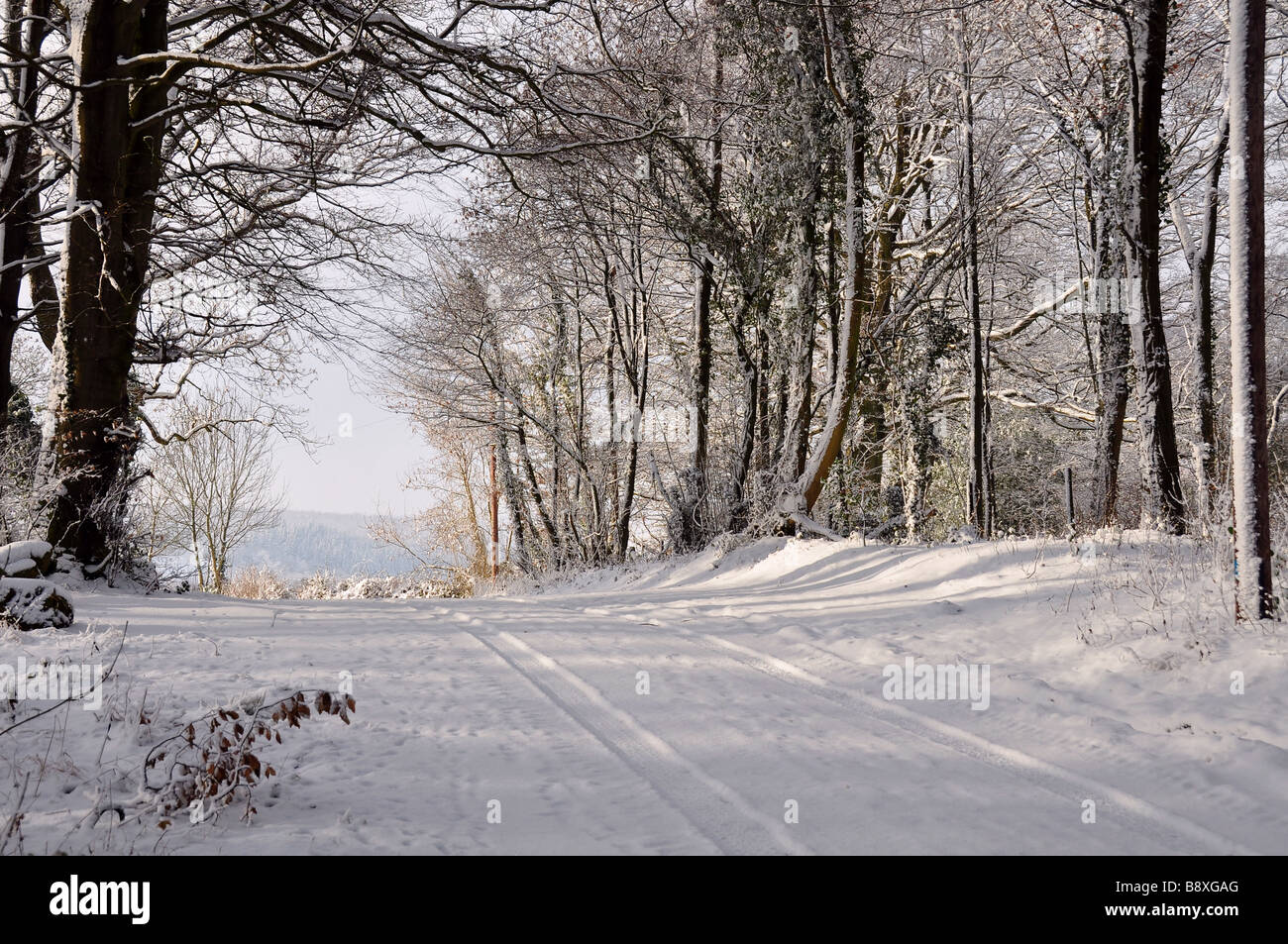 Feldweg durch Cotswold Buchenwälder im Tiefschnee Stockfoto