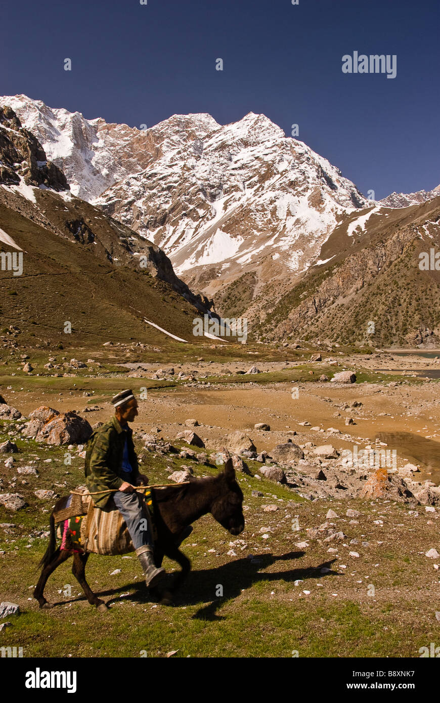 Mann auf einem Esel Fan Berge, Pamir, Tadschikistan, Asien. Stockfoto