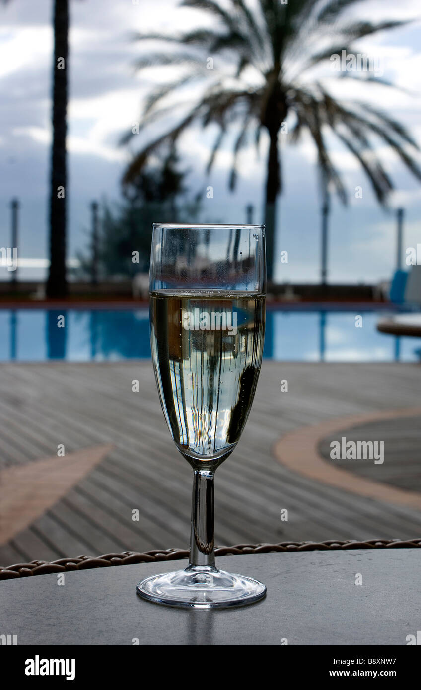 Glas Champagner mit Palmen und pool Stockfoto