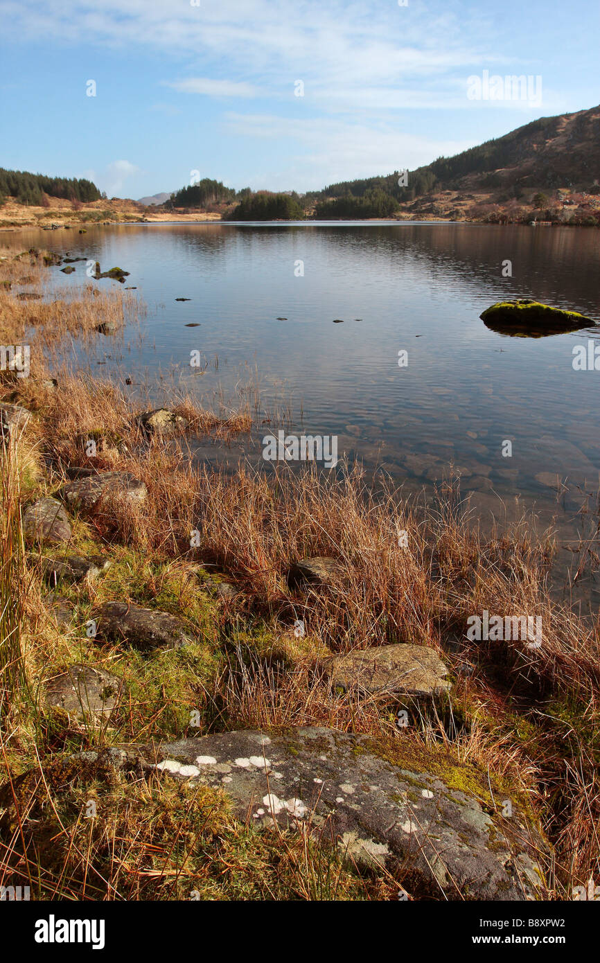 Killarney National Park Stockfoto