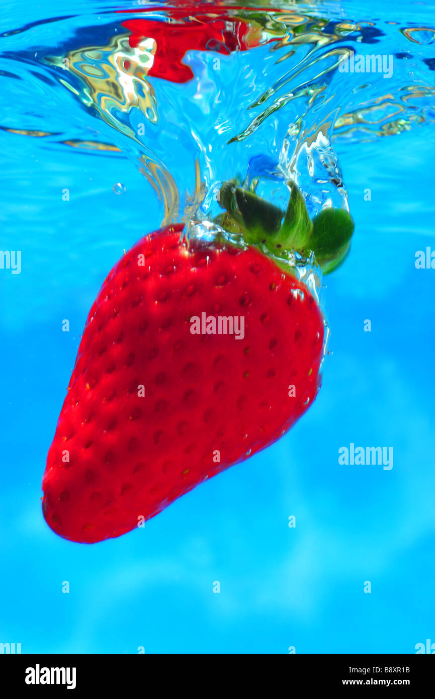 Erdbeere im Wasser planschen Stockfoto