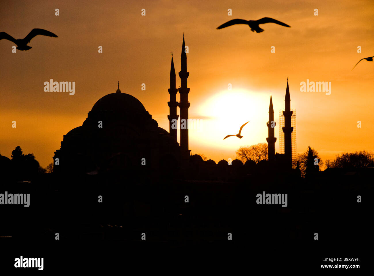 Silhouette der Suleiman Moschee bei Sonnenuntergang, Istambul, Türkei, Asien Stockfoto