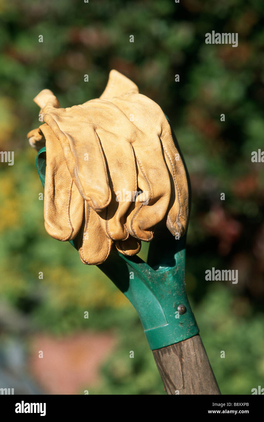 LEDER ARBEITSHANDSCHUHE AUF SCHAUFEL GRIFF IN MINNESOTA GARTEN.  SOMMER. Stockfoto