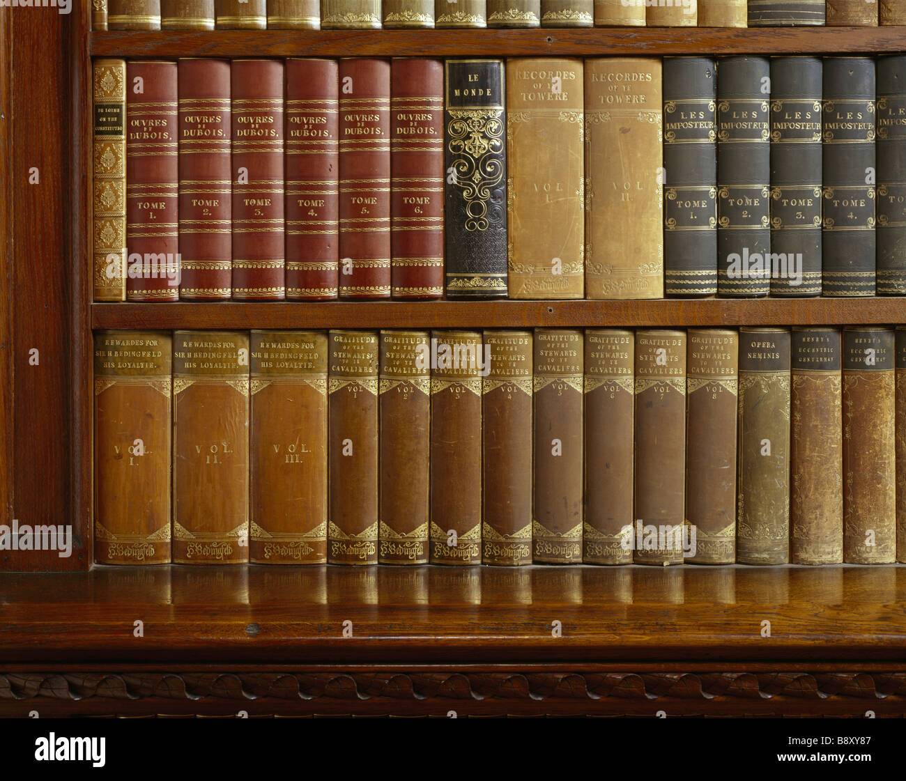 Die Bibliothek. Detail des Dummys Bücher in die Tür in den Speisesaal befindet sich in der Oxburgh Hall, Norfolk. Stockfoto