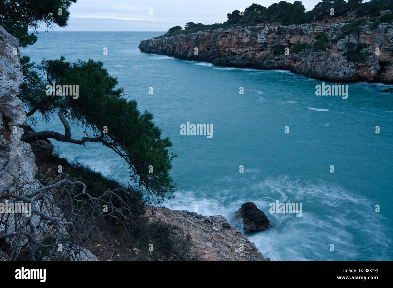 Europa Spanien Balearische Inseln Mallorca Bucht von Porto Pi Stockfoto