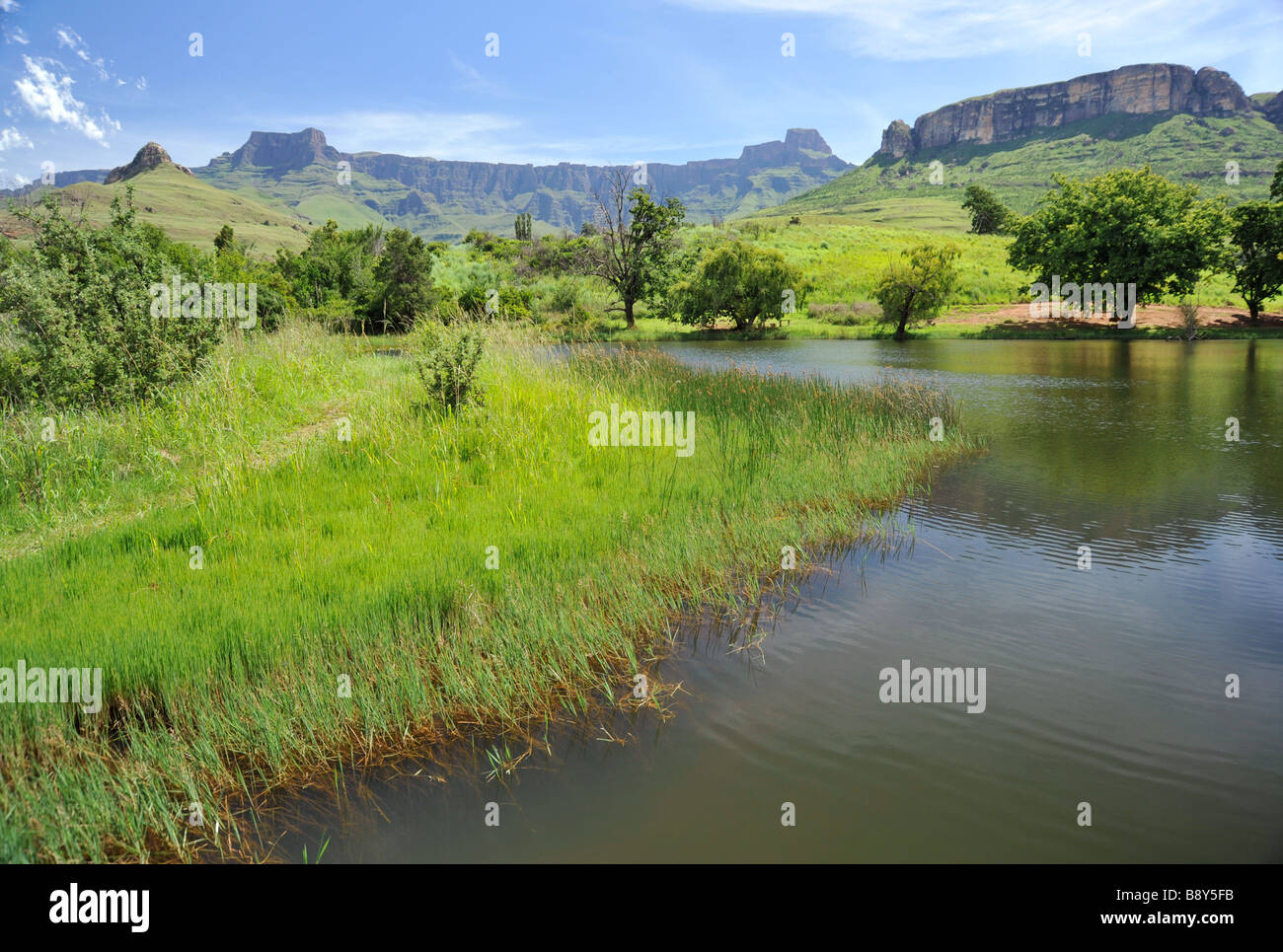 Landschaft. Berg, Royal Natal National Park, KwaZulu-Natal, Südafrika, Drakensberg Amphitheater, UNESCO, Weltkulturerbe, Weltplätze Stockfoto