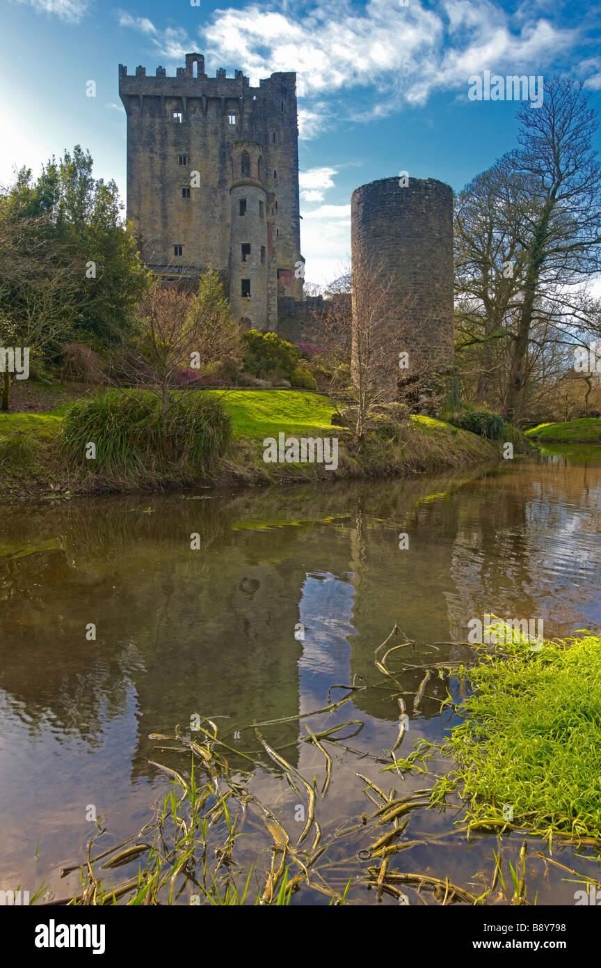 Blarney Castle, Co.Cork, Irland, Heimat des weltberühmten Geschwätz Stein Stockfoto