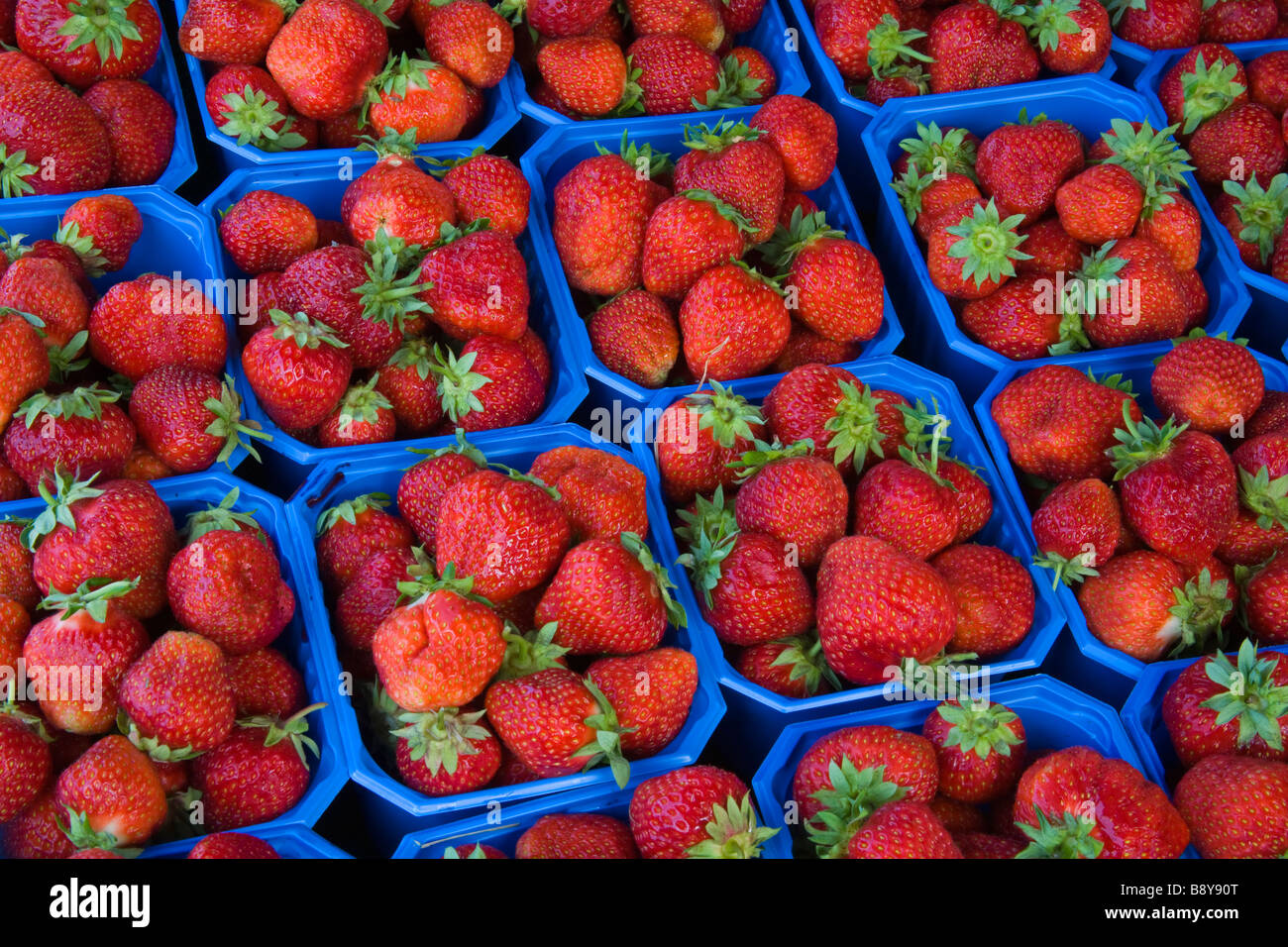 Erdbeeren zum Verkauf an einem Marktstand Torget Markt, Bergen, Grafschaft Hordaland, Norwegen Stockfoto