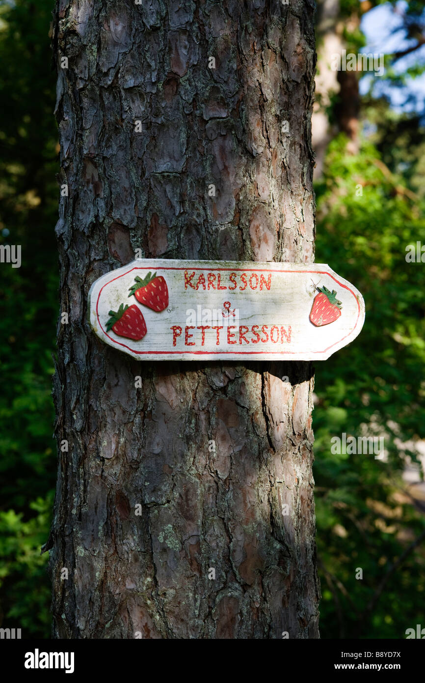 Typenschild an einem Baumstamm Schweden. Stockfoto