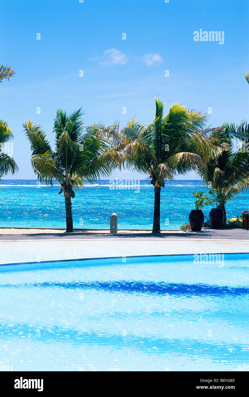 Swimming Pool und Palmen am Meer Mauritius. Stockfoto