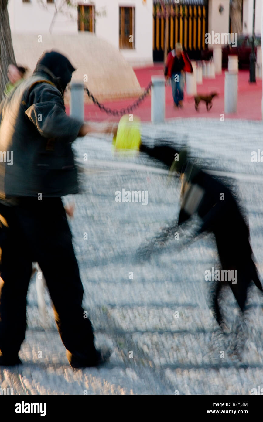 Mann mit Hund springen spielen Stockfoto