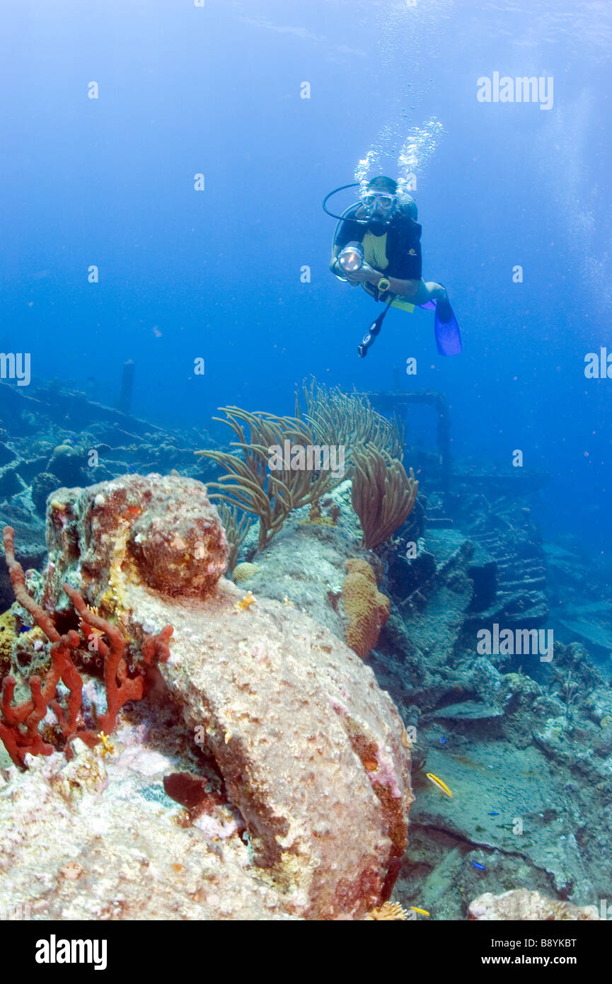 Diver in british virgin islands Fotos und Bildmaterial in hoher