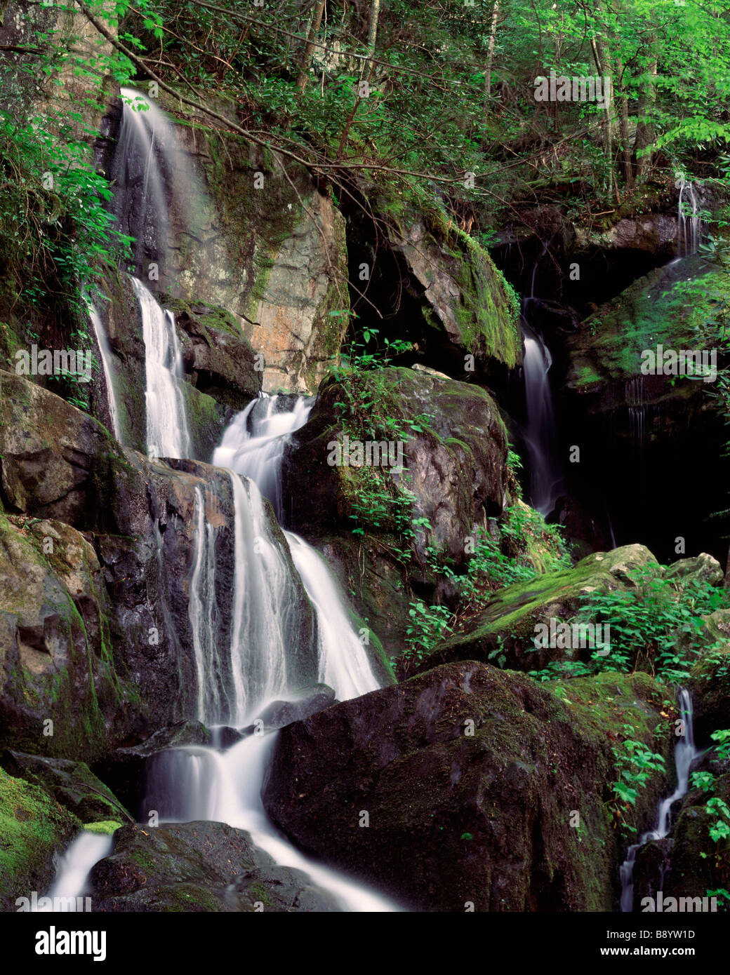 Der Ort der tausend tropft entlang Roaring Fork Nature Drive, Great Smoky Mountains National Park, Tennessee Stockfoto