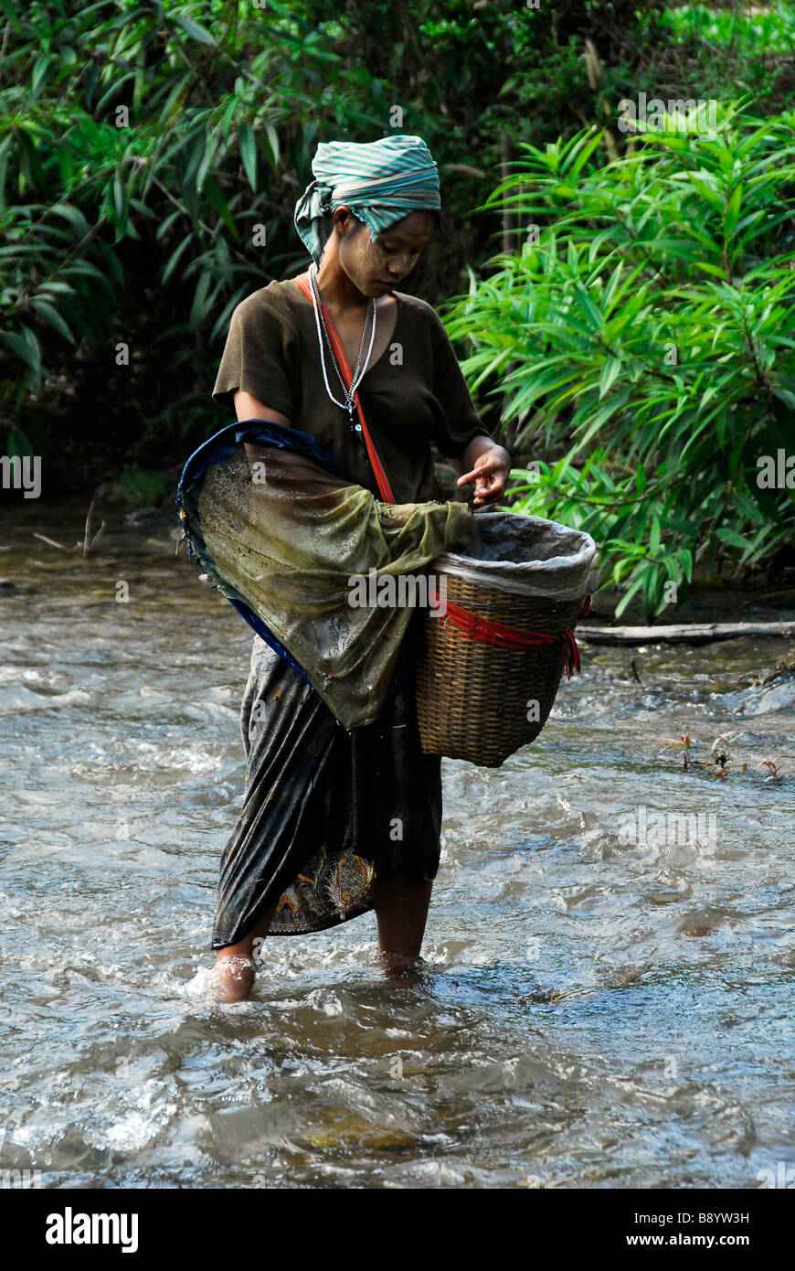 Karen Flüchtling Dame Abholung Fisch aus Netz bekam sie in den Fluss in der Nähe von Maela Refugee Camp, Tak, Nord-Thailand. Stockfoto
